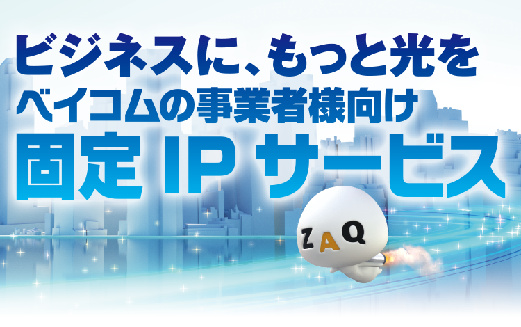 ビジネスに光を ベイコムの事業者様向け固定IPサービス