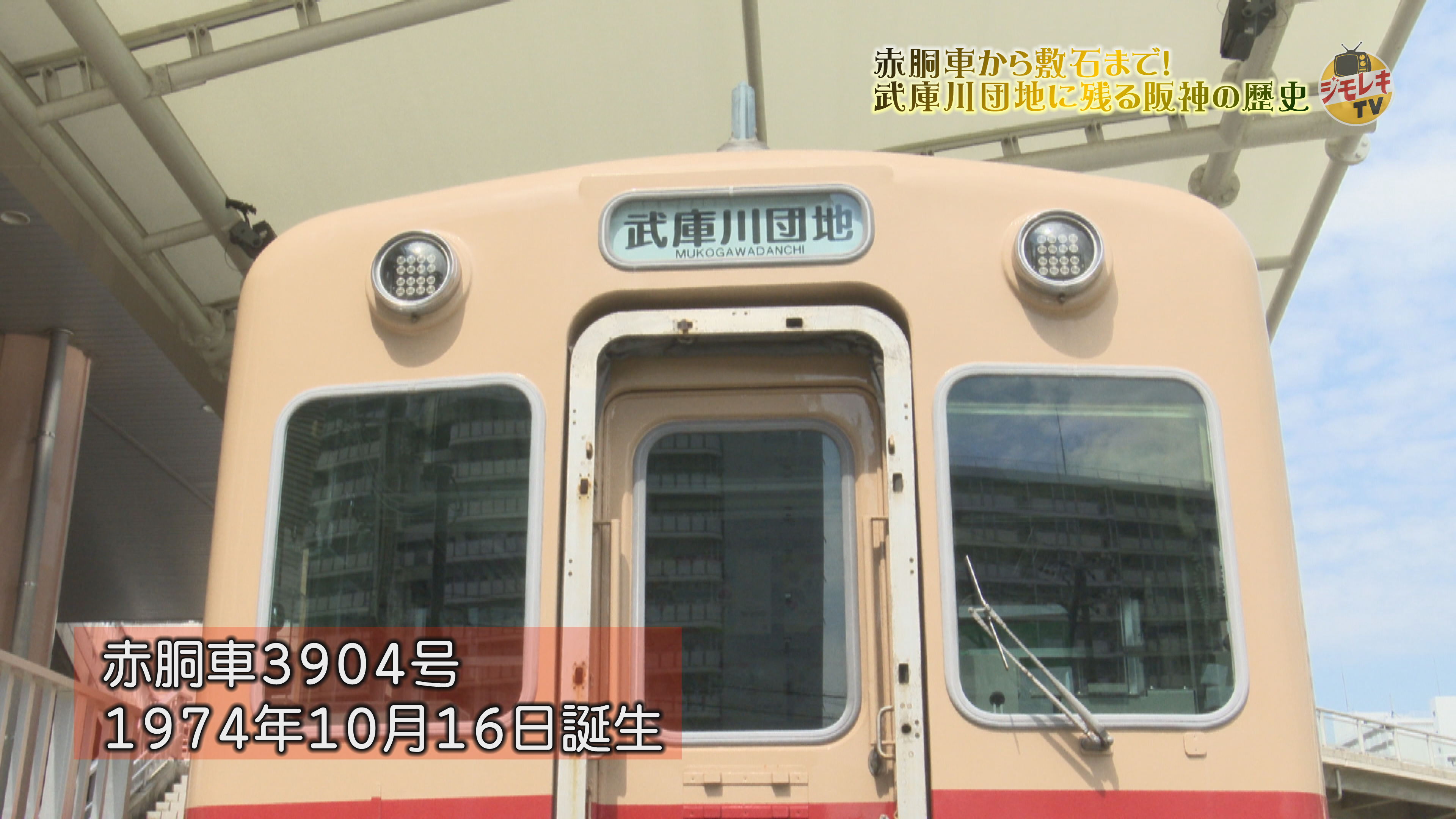 /upload/channel_program/jimo3.png
